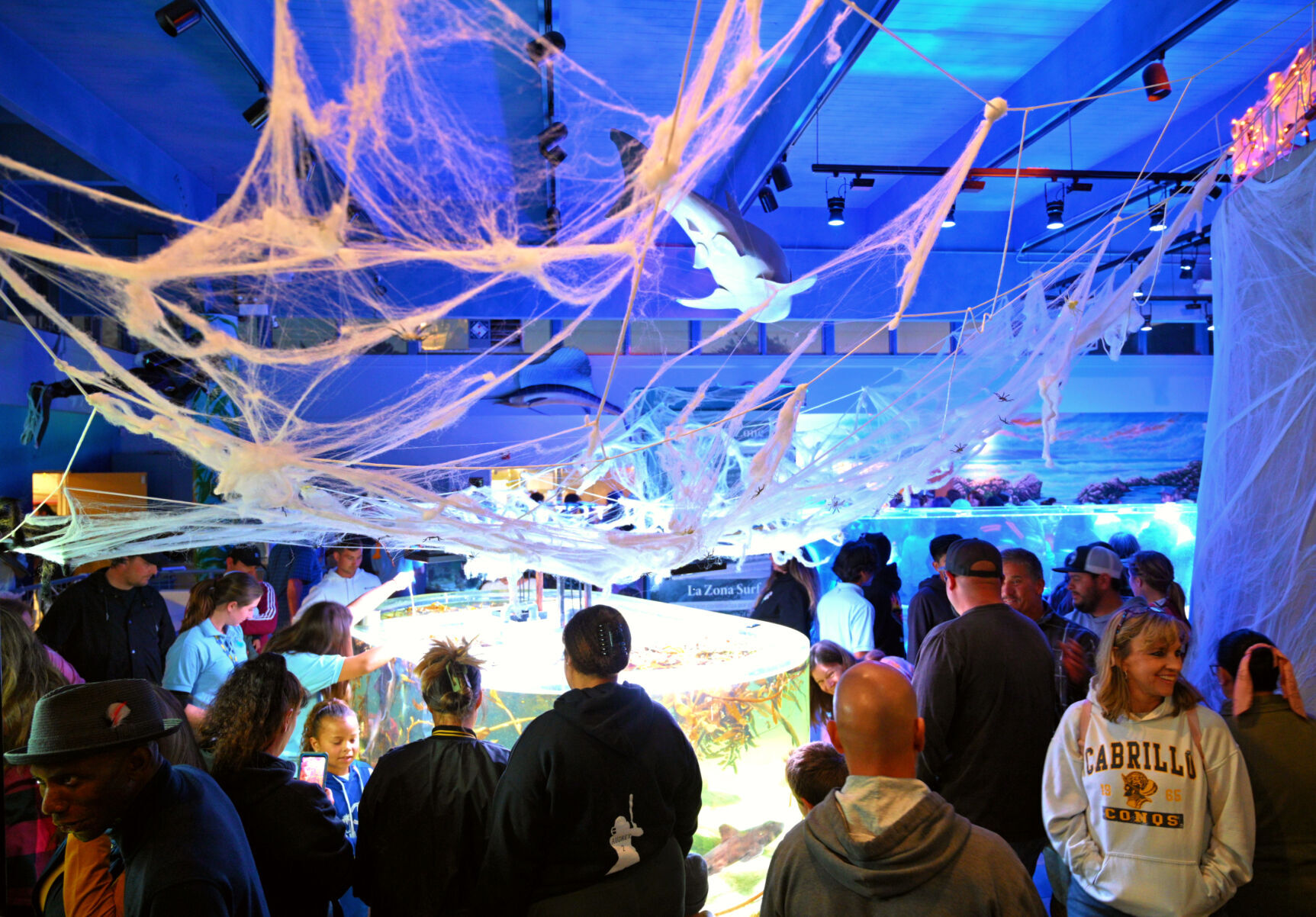 02722-smt-news-sharktoberfest-003